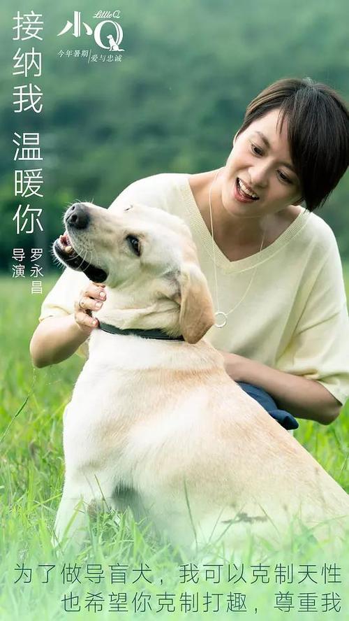 台湾台北城市科技大学ID学生卡